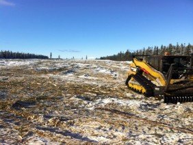 Greatland Tree Service - Photo 1