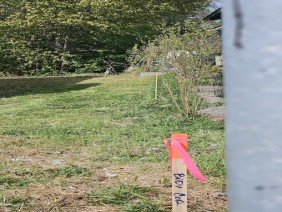 Blue Arrow Surveys, LLC - Photo 2