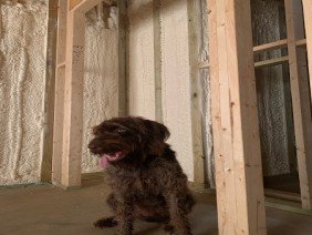 EcoLogical Insulation - Photo 2