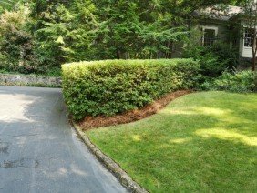 Birmingham Landscape Design, LLC - Photo 3