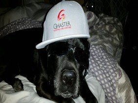 Ghaster Painting & Coatings - Photo 5