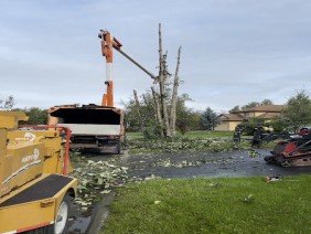 Yard and Tree Care - Photo 2