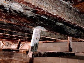 Ak Restoration Pro Anchorage Water & Fire - Photo 0