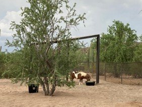 Johansen Fence & Gate - Photo 7