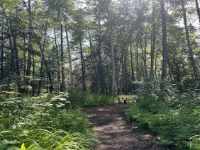 Alaska Botanical Garden - Photo 7