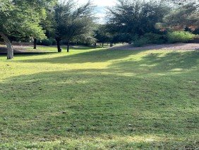 Green By Design - The Landscape Company - Photo 2