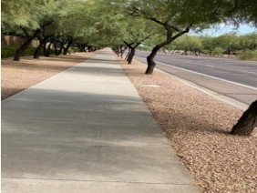 Green By Design - The Landscape Company - Photo 1