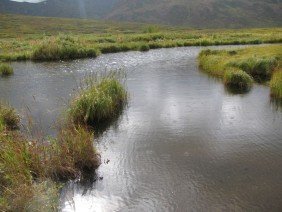 Restoration Science & Engineering, LLC - Photo 2
