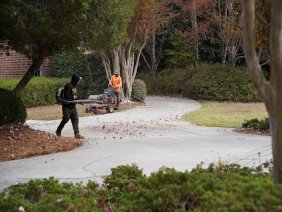 Quality Creative Landscaping - Photo 6