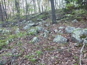 Stone Concepts - Photo 4