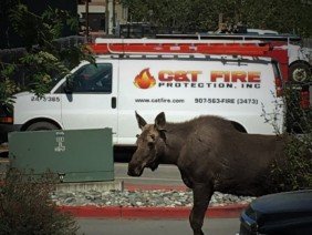 C&T Fire Protection, Inc. - Photo 1