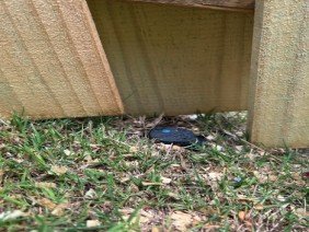 Shelby Fence Company - Photo 3