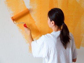Your Phoenix Painter - Photo 5