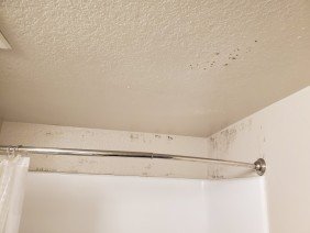 Turn Over Painting Contractors - Photo 7