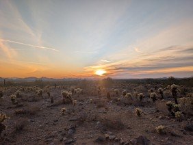 Windgate Ranch Scottsdale - Photo 2