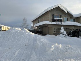 Northern Greens - Photo 5