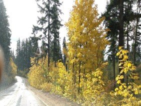 H.W. Johnson Concrete Construction - Photo 0