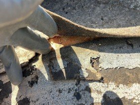 Firebird Exteriors - Roofing & Gutters Roof Repair, Roof Replacement and Gutter Installation - Photo 0