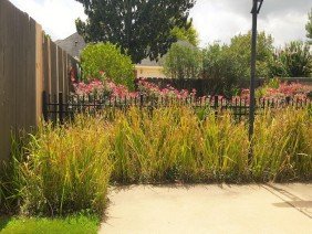 BTOPS Landscaping, Inc. - Photo 1