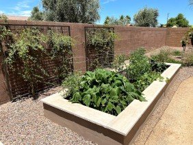 The Desert Root Landscape, Pavers, Turf and Design - Photo 5