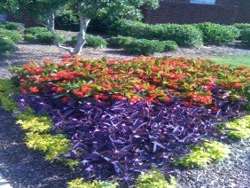 Landscape Associates - Photo 3