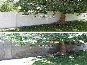 Painters Phoenix - Photo 6