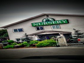 Faltz Landscaping & Nursery - Photo 3