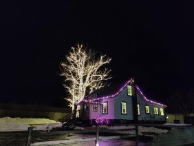 Gage Tree Service - Photo 3