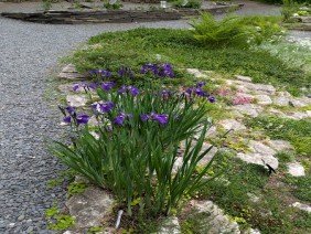 Alaska Botanical Garden - Photo 1