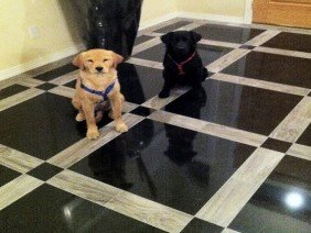 Pacific West Flooring - Photo 4