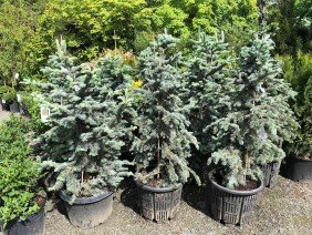 Landscape Alaska - Photo -1