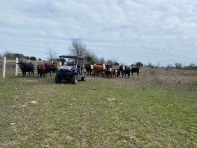 Award Surveying Inc - Photo 0