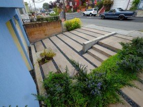 Madroño Landscape Design Studio - Photo 3