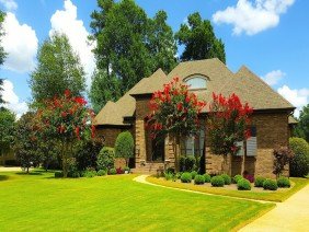 BTOPS Landscaping, Inc. - Photo 5