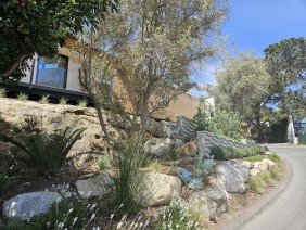 White Landscape Design - Photo 2