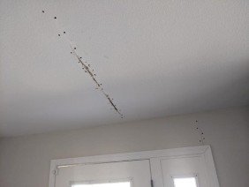 Diamond Drywall Contractors San Diego - Photo 1