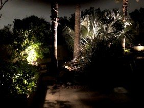 Desert Designer Landscape & Development - Photo 2