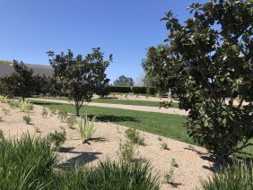 Landscapes USA - San Diego - Photo 0