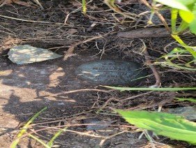 Massachusetts Survey Consultants - Photo 0