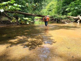 Davis Engineering & Surveying - Photo -1