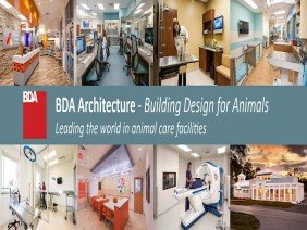 BDA Architecture - Photo 0