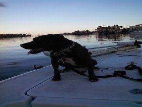 SouthCentral Surveyors of Texas - Photo 5