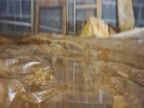 Foundation Strategies and Construction Inc. - Photo 0