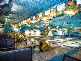 Torgerson Design Partners - Photo 2