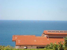 True American Roofing Co Inc - Photo 0