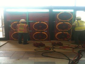 Building Diagnostics & Property Science - Photo 1