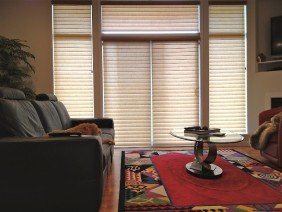 Exciting Windows! by Mini Blind King - Photo -1