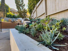 Design Scapes Inc - Photo 2