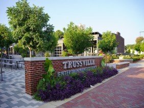 Quality Creative Landscaping - Photo -1
