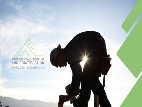 Professional Roofing and Construction - Photo 6